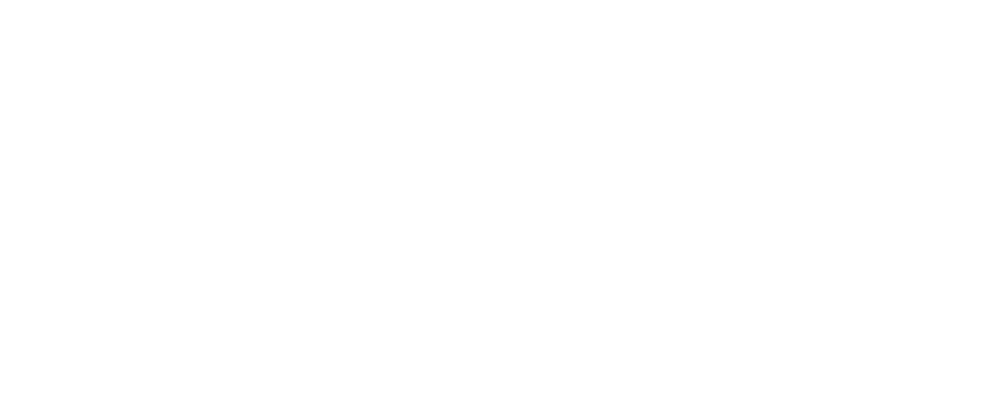 BLESSX.com